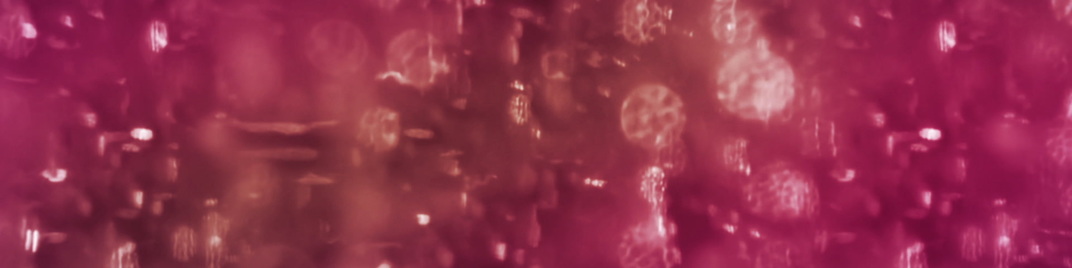 streaked bokeh - pink