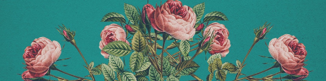 floral burst 1
