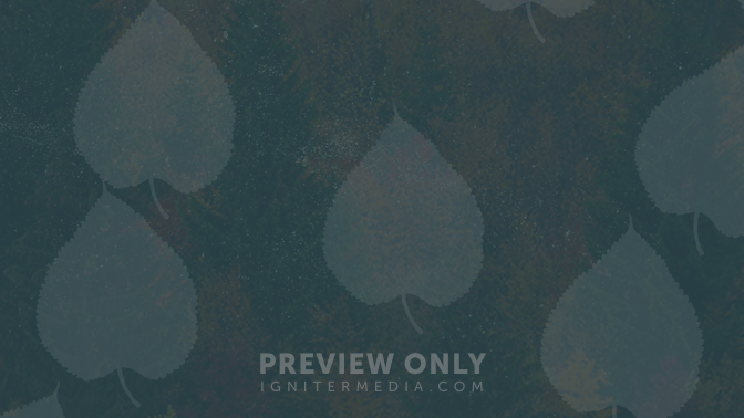 Give_02_HD.png