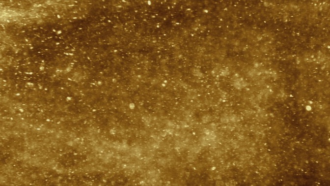 new year sparkle - gold