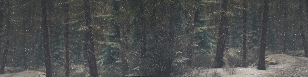 Winter_Wonderland_3_UW_SD.jpg
