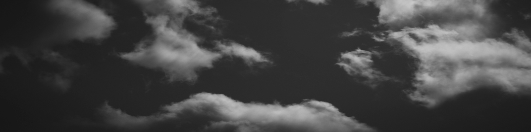 flight - black and white