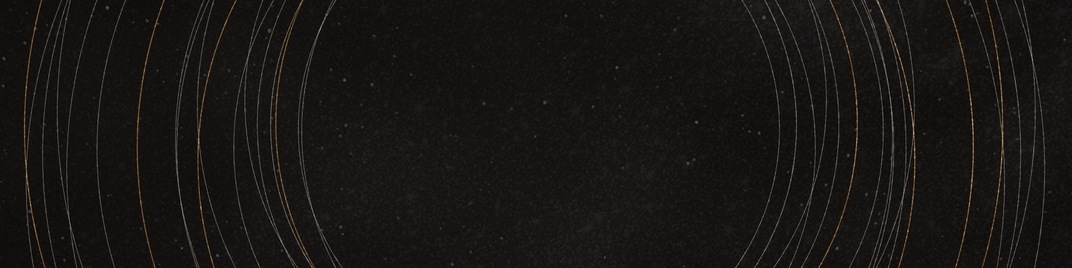 Winter_Seasonal_New_Year_WB_Gray_03_UW_SD.jpg