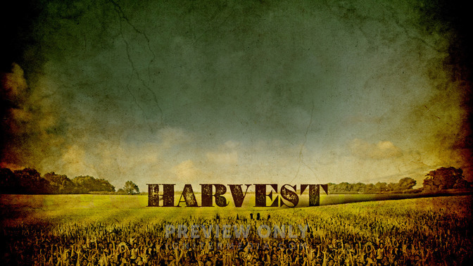 Harvest_16x9-CONTENT-2#preset=tg_alt2.jpg