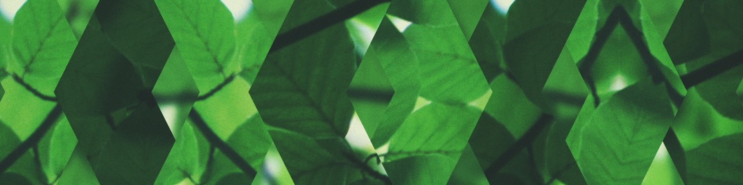 spring shift - green full