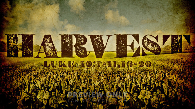 harvest