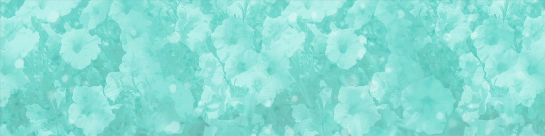springtime - blue flowers