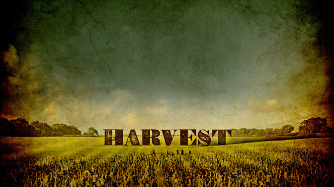 Harvest_16x9-CONTENT-2#preset=tg_alt2.jpg