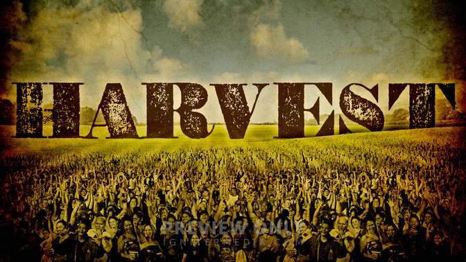 Harvest_16x9-TITLE-2#preset=tg_title2.jpg