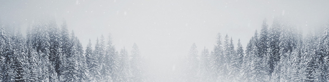 Majestic_Snow_Tree_Tops_MS_1920x480.jpg