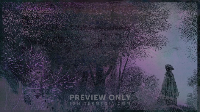 WB_05_HD.jpg