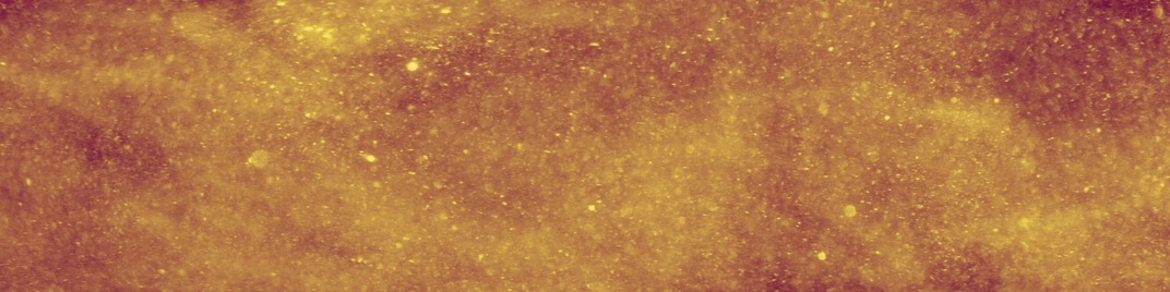new year sparkle - celebrate